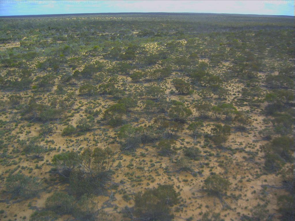 Calperum Mallee flux-tower camera frame