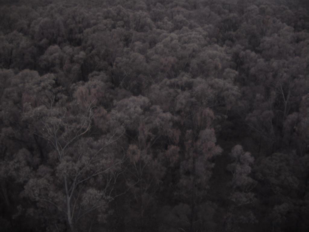 Cumberland Plain flux-tower camera frame