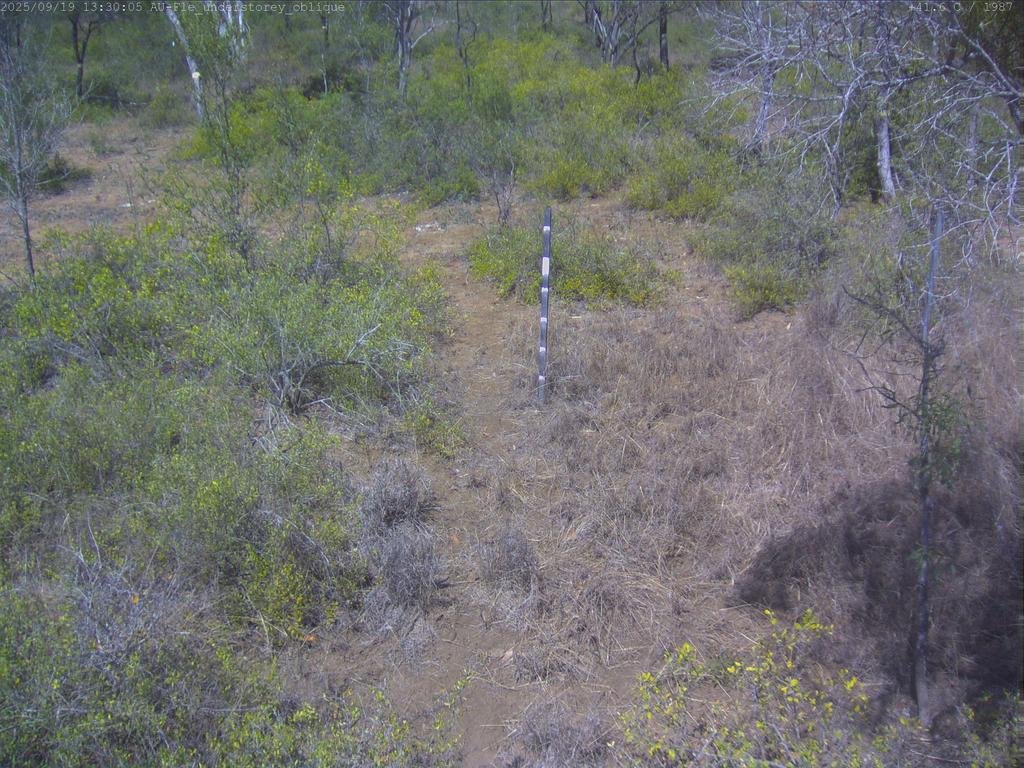 Fletcherview flux-tower camera frame
