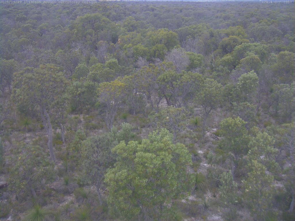 Fletcherview flux-tower camera frame