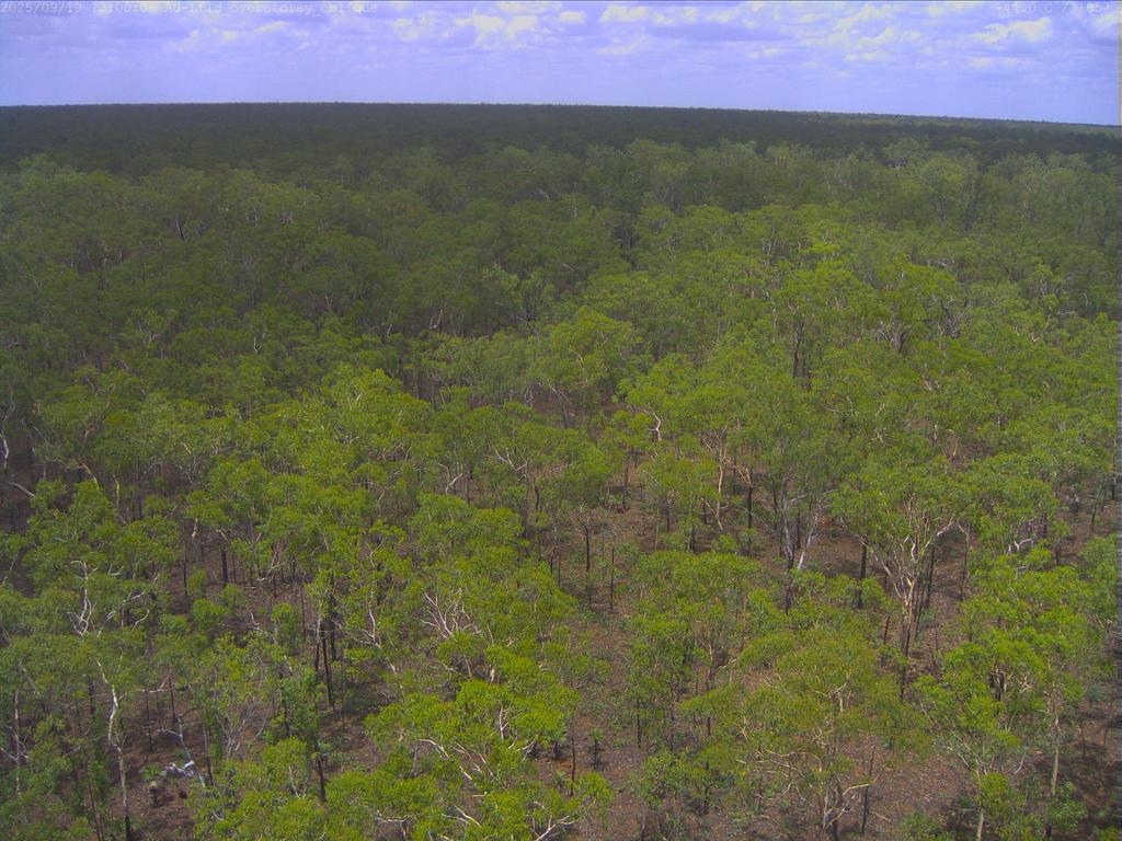 Litchfield flux-tower camera frame