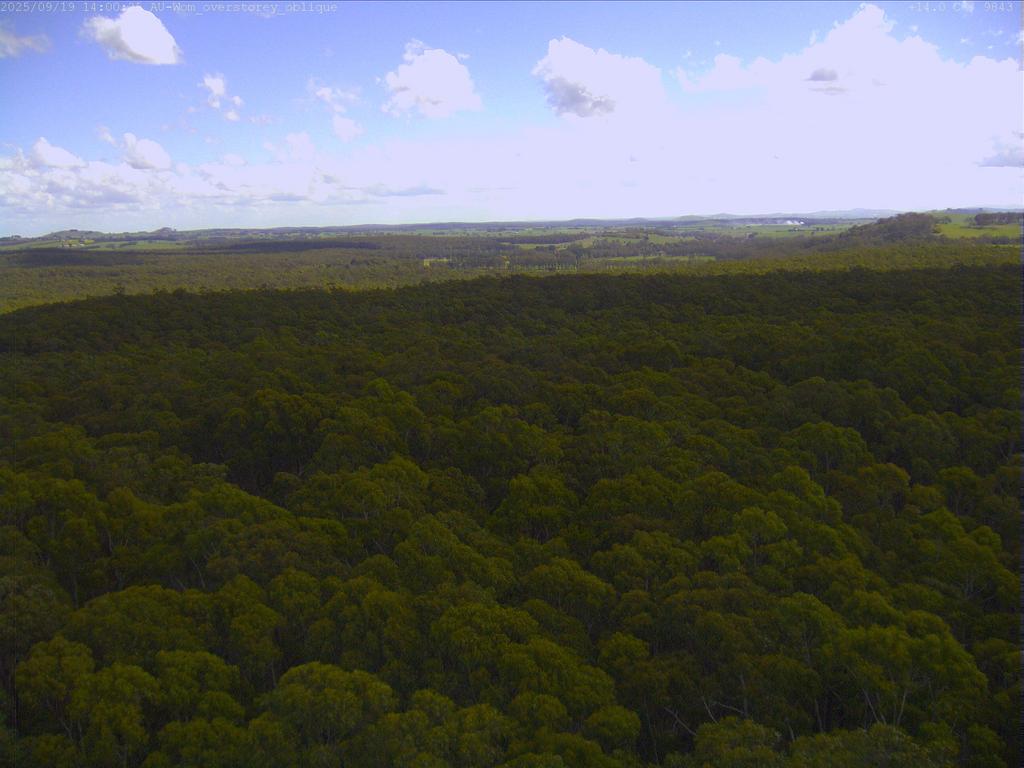 Cumberland Plain flux-tower camera frame
